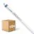 Multipack 10x Philips Tubo LED T5 MASTER (HF) High Output 26W 3900lm - 865 Luce del Giorno | 145cm - Sostitutiva 49W