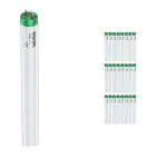 Multipack 25x Philips MASTER TL-D Actinic BL 18W - Ultravioletto | 60cm