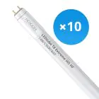 Multipack 10x Noxion Tubo LED T8 Avant Extreme (HF) High Output 14W 2100lm - 840 Bianco Freddo | 120cm - Sostitutiva 36W